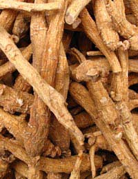Will Ginseng Improve My Sports Performance?