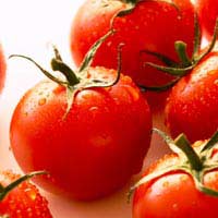 Lycopene Anti-oxidant Free Radical